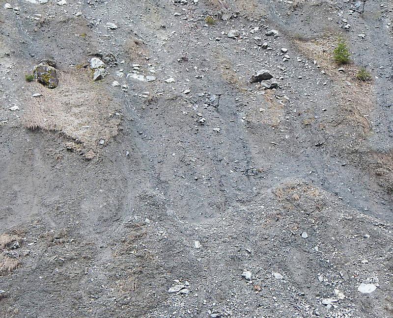 soil with rocks
