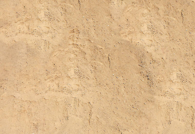 brown soil desert