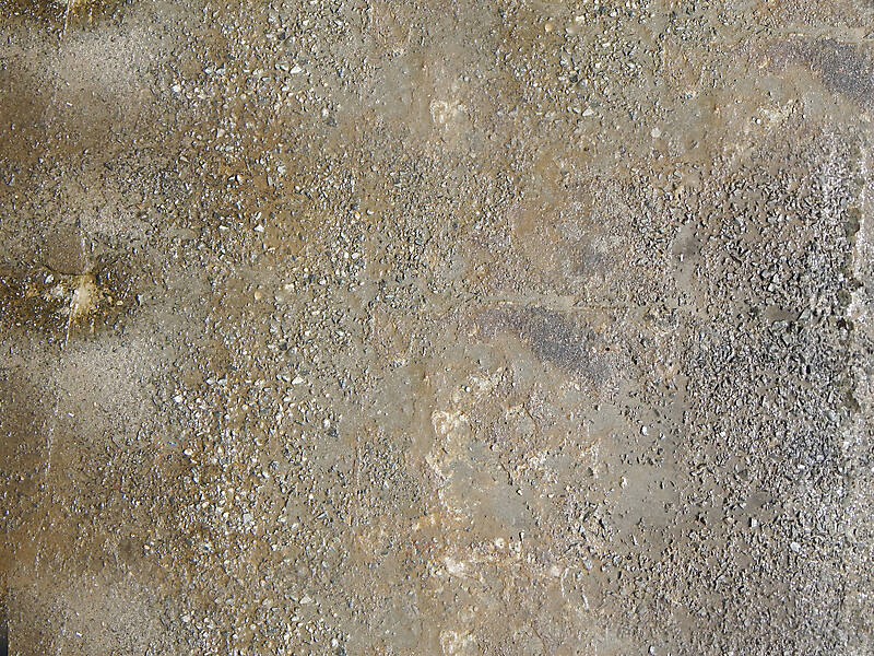 aged concrete pavment wet