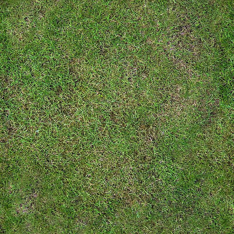 Grass clean