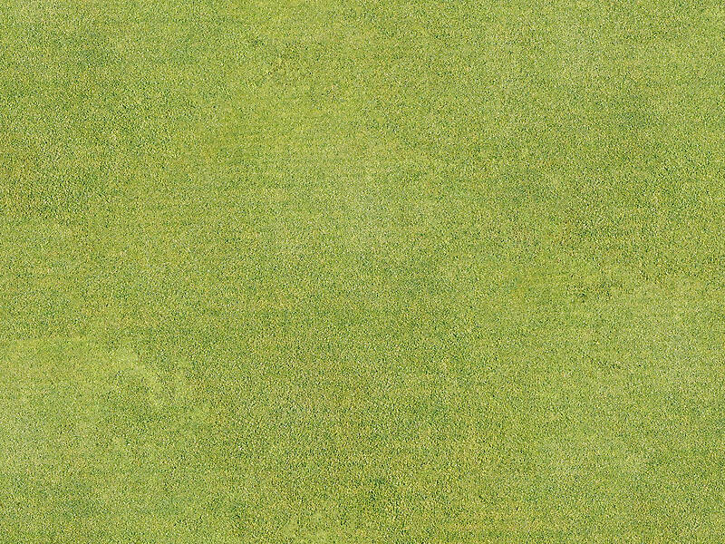 golf course field grass